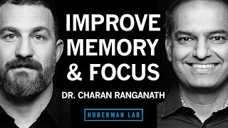 Dr Charan Ranganath How to Improve Memory amp Focus Using Science Protocols [upl. by Farika]