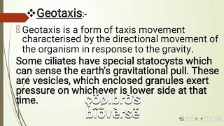 Positive geotaxis and negative phototaxis [upl. by Norrag40]