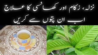 NazlaZukam Or Khansi Ka Ilaj  In Urdu\Hindi  Cough Cold And Flu Remedy  Cook With Nuzhat  Kehwa [upl. by Manaker]