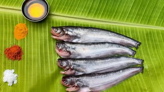 পাবদার এই ঝাল থাকলে সবাই মাংস ফেলে খাবে  Pabda Macher Jhal  Pabda Fish Curry  Bengali Fish Recipe [upl. by Roberto]