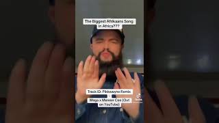 Pikkewyne Remix  The Biggest Afrikaans Song in Africa 🇿🇦🇿🇲🇧🇼🇿🇼🇳🇦 pikkewyne [upl. by Atinreb]