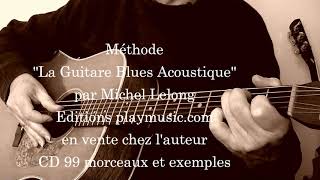 Colombus Stockade Blues TDarby Fingerpicking arrgt Michel Lelong [upl. by Ainoyek]