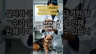 개파보장염 Canine parvovirus CPV 강아지반려동물강아지설사강아지영양제 [upl. by Mazonson123]