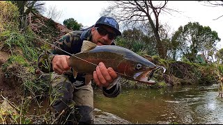 SOFT PLASTICS TROUT how to catch trout on lures [upl. by Ennahgem112]