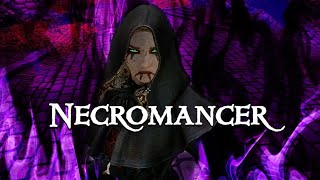 Necromancer lv83 vs Ebony Warrior  SKYRIM SE BUILD MODS [upl. by Nitas]