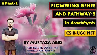 Flower Development Genes And Pathways in Arabidopsis thaliana  CSIRNET ICMR DBT Gate MSc [upl. by Uliram]