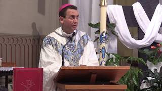 Bishop Cozzens Homily on Humanae Vitae at St Stephen Minneapolis [upl. by Brinson674]