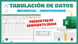 Excel  Tabulación de datos de una encuesta  Para tesis proyectos de aplicación e investigación [upl. by Burkhardt]