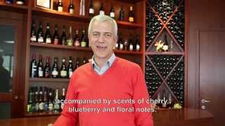 LAMBRUSCO RIUNITE SENZATEMPO [upl. by Kos]