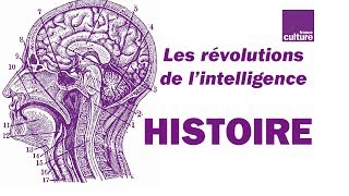 L’intelligence atelle une histoire [upl. by Knudson]