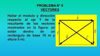 VECTORES Nº 5 [upl. by Atal586]