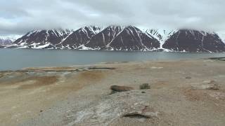 Spitzbergen  Thermalquelle Jotunkjeldene [upl. by Kristine]