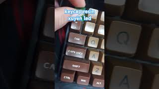 keycap resin vỏ ốc xuyên led link httpssshopeevn1LNfbjEFcG keycaps artisankeycaps diy [upl. by Anayd968]