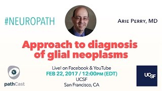 Approach to diagnosis of glial neoplasms  Dr Perry UCSF NEUROPATH [upl. by Nnad759]