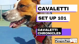 Cavaletti Set Up [upl. by Latini964]