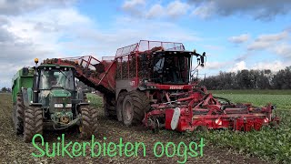 Suikerbietenoogst  Bietenrooier  Sugar Beet Harvest  Bieten rooien  Zuckerruben ernten [upl. by Friedland]