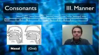 Pronunciation Tutorial 2 English Pronunciation and IPA Manner [upl. by Leahcimsemaj]