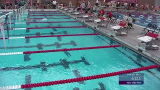 Mens 1500 Free A Final  2024 SUMMER SPEEDO SECTIONALS Central Zone East Sectional  Columbus OH [upl. by Anaeco]