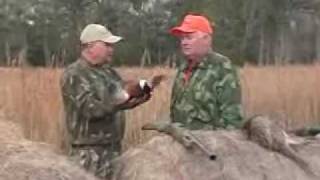 SE Georgia Continental Pheasant Shoot at Dorchester Shooting Preserve [upl. by Odlonra]