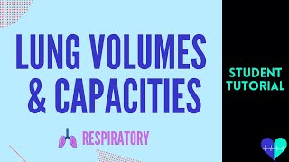 Lung Volumes amp Capacities  Medical Tutorial [upl. by Gnni]