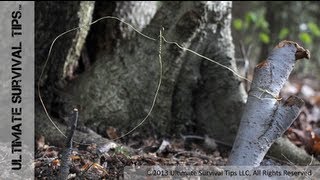 How to Make a Basic SNARE Trap with Paracord or Wire  Catch Your Own Survival Food [upl. by Marshall68]