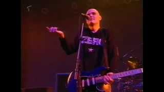 The Smashing Pumpkins  Live in Düsseldorf Germany 1996 [upl. by Kcuhc176]