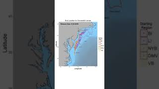 Atlantic Sea Scallop Larval Dispersal Model [upl. by Derrick675]