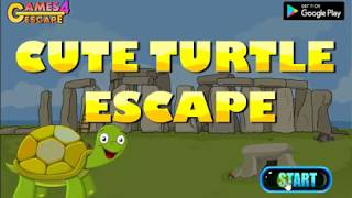 Cute Turtle Escape Walkthrough G4E [upl. by Pfaff]