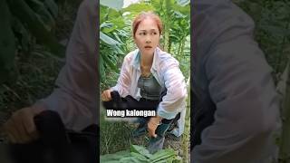 mau ketawa takut dosa video lucu bikin ngakak hiburan warga62 viral video funny videos funny shorts [upl. by Dinerman683]