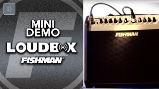 Fishman Loudbox Mini Product Demo [upl. by Lavelle214]