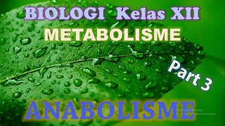 Metabolisme Kelas XII IPA Part 3  Anabolisme Fotosintesis [upl. by Emmy130]