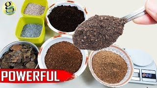 Best DIY Fertilizer Mix Recipe Universal Allpurpose Mixed Fertilizer Powder [upl. by Melamie]