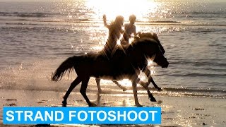 Texel VLOG 5 Beach photoshoot amp Wesla injured  ENGL SUBS  felinehoi [upl. by Darnok]