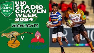 Dynasty in Doubt Western Province vs Free State Cheetahs  A Craven Week Final for the Ages 2024 [upl. by Uohk]