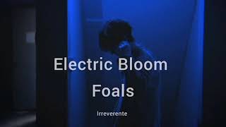 Foals  Electric Bloom Español [upl. by Wolliw652]