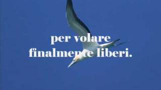 LIBERTA INTERIORE [upl. by Jaban]