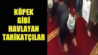 Köpek gibi havlayan tarikatçılar [upl. by Esylla]