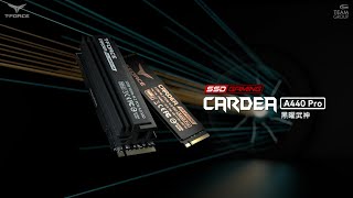 CARDEA A440 PRO  黑曜武神 M2 PCIe SSD  十銓科技TEAMGROUP [upl. by Orford913]