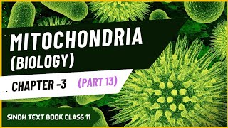 Cell structure and function  Chapter 3  Part 13  Mitochondria  Class 11 newbook [upl. by Monto]