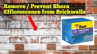 Prevent Shora  Efflorescence from Brick Walls with Dr Fixit Fastflex [upl. by Anirahtak10]