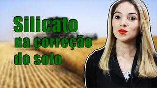 SILICATO NA CORREÇÃO DO SOLO [upl. by Kling784]