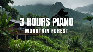 3 Hours of Relaxing Piano Serene Mountain Forest Escape 🌄🎹 [upl. by Adriena361]