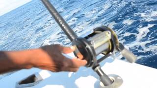 Punta Cana Sport Fishing  Punta Cana Tours [upl. by Homovec270]