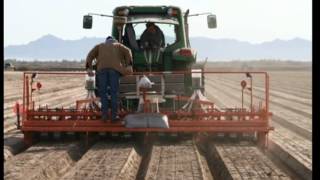 2012 Yuma Salicornia Planting 5min 15 sec [upl. by Ahcurb]