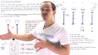 Ion Exchange Chromatography [upl. by Otiragram]