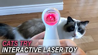 Automatic Laser Toy  Petsafe Bolt [upl. by Ynnos387]