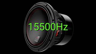 Tone frequency 15500Hz Test your hearing speakersheadphonessubwoofer [upl. by Nad714]