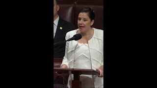 Rep Elise Stefanik condemns VP Kamala Harris over border crisis shorts [upl. by Vida]