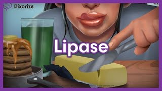 Lipase Mnemonic for MCAT [upl. by Tami]