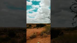 the desert in the rain ytviral edit travel rain explore entertainment enjoy youtuber short [upl. by Laina172]